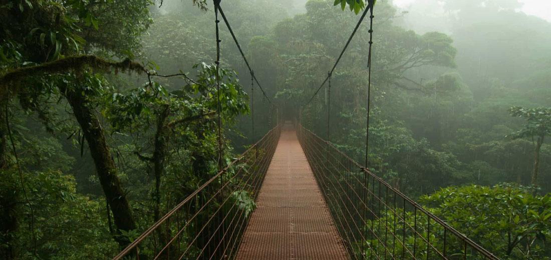 tour tortuguero costa rica