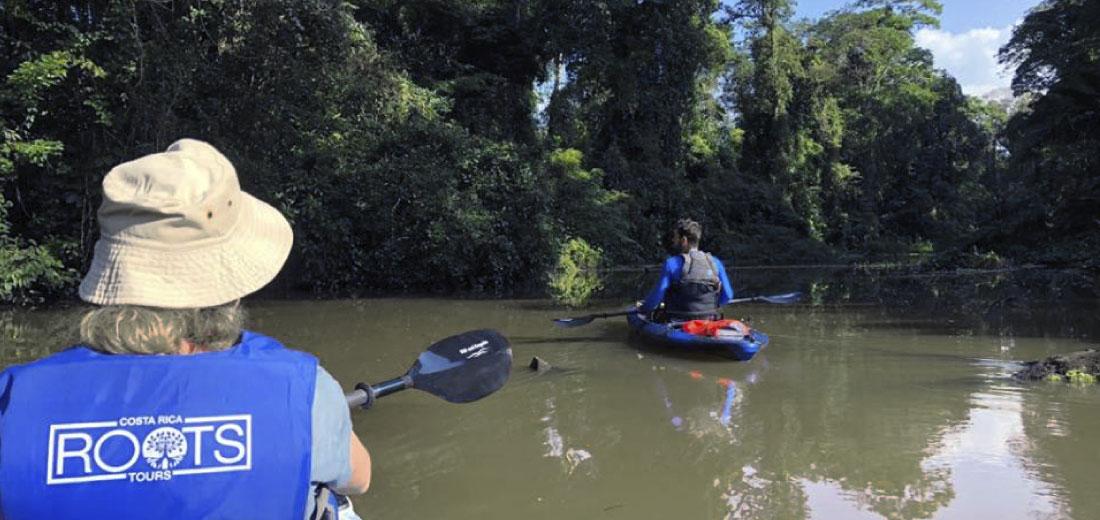 tour tortuguero costa rica